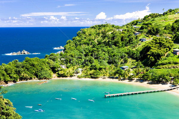 Parlatuvier Bay, Tobago Stock photo © phbcz