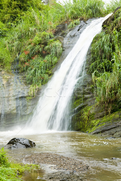 Concord Falls, Grenada Stock photo © phbcz
