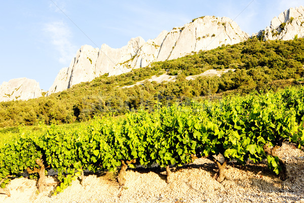 vineyards near Gigondas at Col Du Cayron, Provence, France Stock photo © phbcz