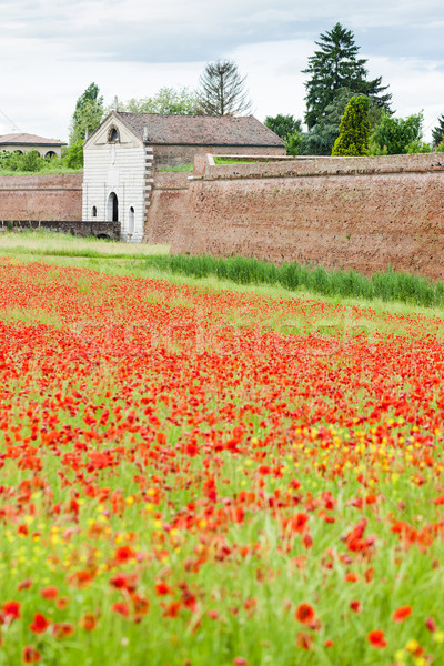 Befestigung Stadt Italien Blume Gebäude Wand Stock foto © phbcz