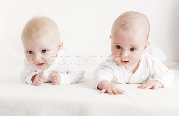 Stock photo: four months old babies