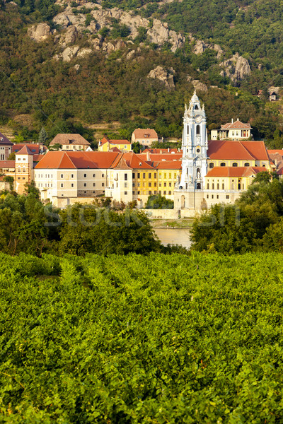 виноградник регион снизить Австрия дома здании Сток-фото © phbcz