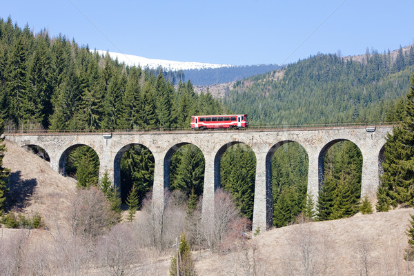 engine coach on railway viaduct near Telgart, Slovakia Stock photo © phbcz