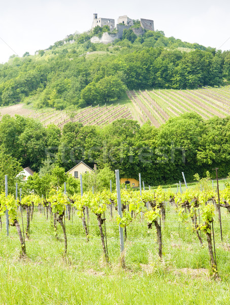 Сток-фото: руин · замок · виноградник · снизить · Австрия · путешествия