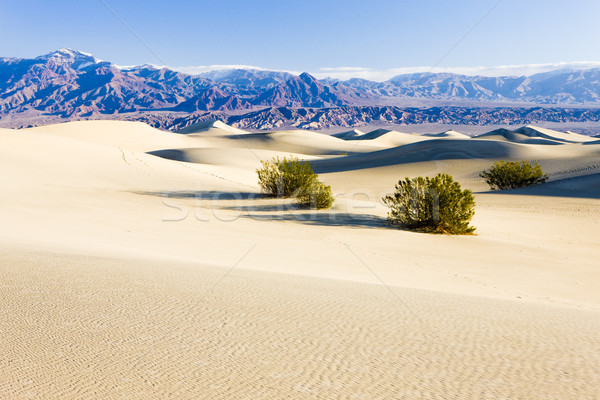 Stovepipe Wells sand dunes, Death Valley National Park, Californ Stock photo © phbcz
