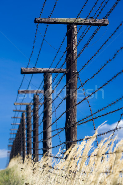 remains of iron curtain, Cizov, Czech Republic Stock photo © phbcz