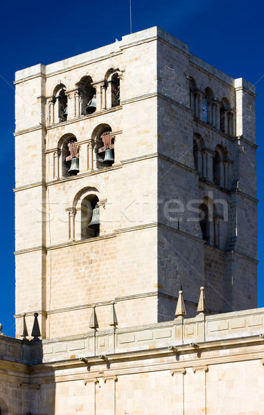 cathedral's detail, Zamora, Castile and Leon, Spain Stock photo © phbcz