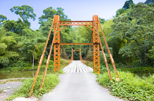 Foto d'archivio: Ponte · sospeso · ponte · edifici · architettura · tropicali · outdoor