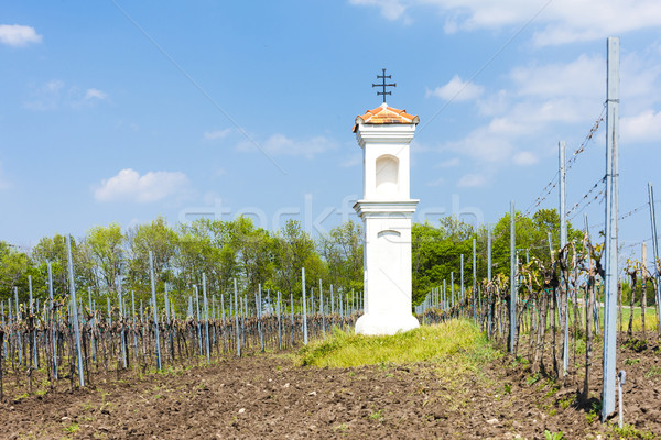 God's torture with vineyard near Palava, Czech Republic Stock photo © phbcz