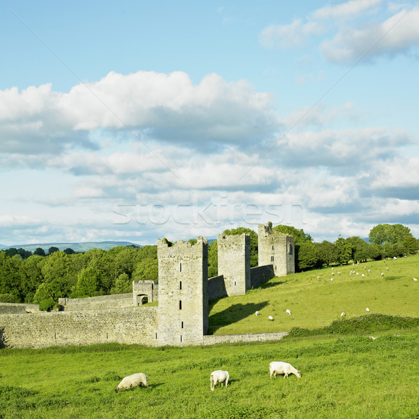 Kells Priory, County Kilkenny, Ireland Stock photo © phbcz