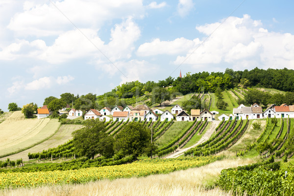 wine cellars with vineyards, Galgenberg, Lower Austria, Austria Stock photo © phbcz