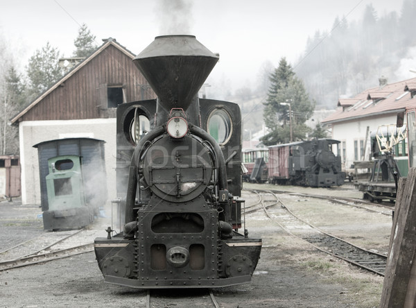 steam locomotive, Ciernohronska Railway, Slovakia Stock photo © phbcz