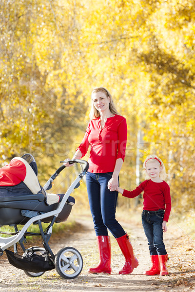Matka córka wózki dla dzieci chodzić jesienny aleja Zdjęcia stock © phbcz