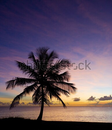 sunset over Caribbean Sea, Barbados Stock photo © phbcz