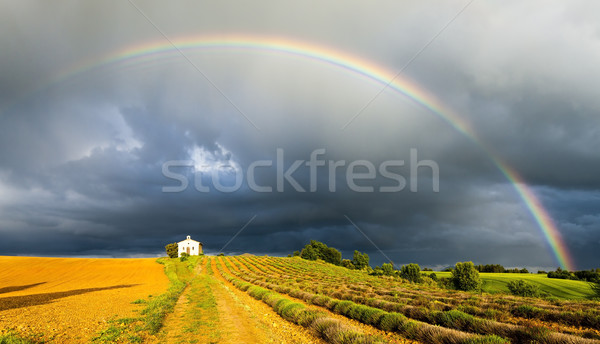 chapel with lavender field and rainbow, Plateau de Valensole, Pr Stock photo © phbcz