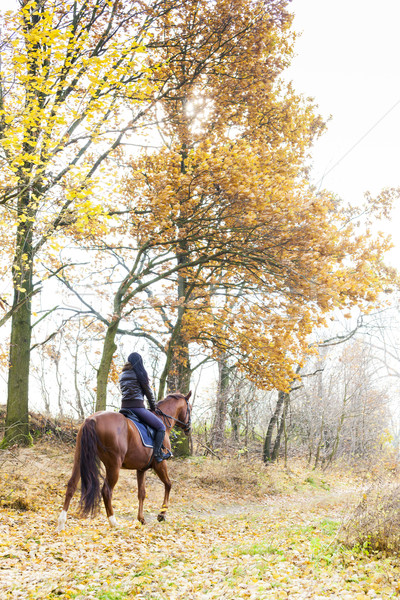 верхом природы женщины лошади Сток-фото © phbcz