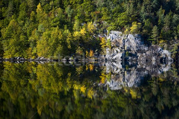 Stockfoto: Landschap · zuidelijk · Noorwegen · water · bos · bomen