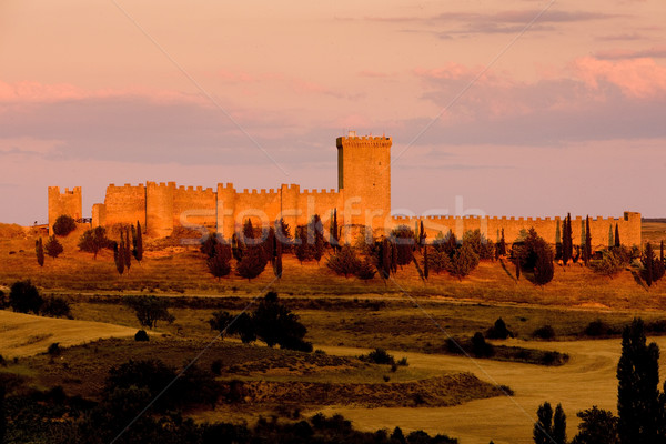 Stock photo: Penaranda de Duero Castle, Burgos Province, Castile and Leon, Sp