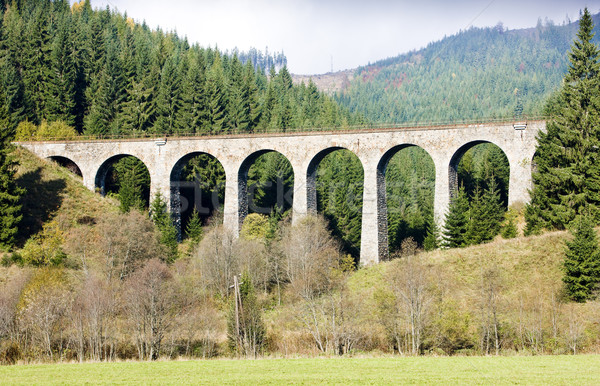 Stock photo: railway viaduct near Telgart, Slovakia