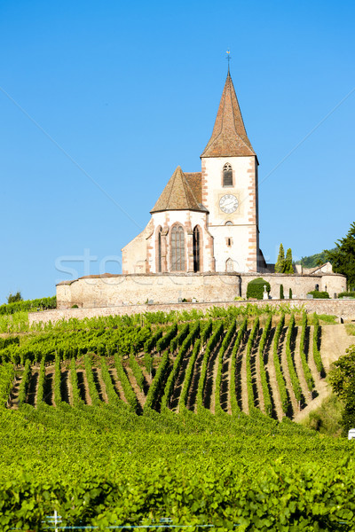 教会 畑 フランス 建物 旅行 アーキテクチャ ストックフォト © phbcz