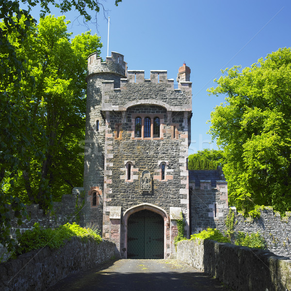 Castillo Irlanda edificio arquitectura puerta Foto stock © phbcz