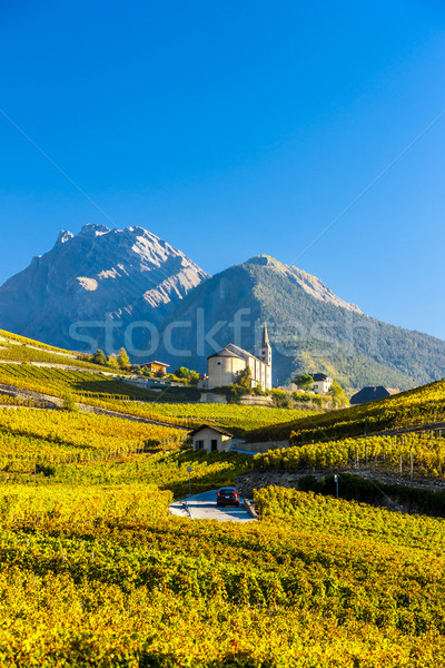 vineyards below church at Conthey, Sion region, canton Valais, S Stock photo © phbcz
