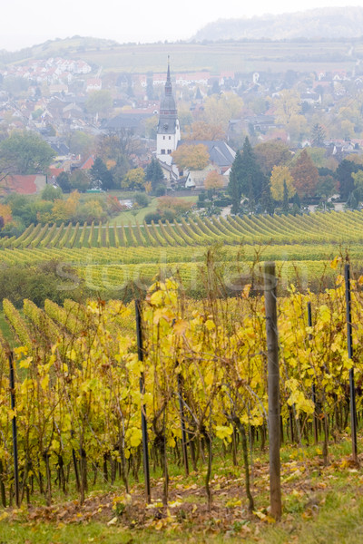 Németország ősz szőlőskert falu szabadtér kívül Stock fotó © phbcz