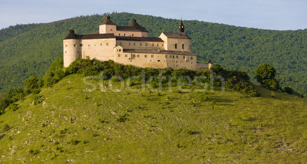 Castillo Eslovaquia edificio arquitectura historia aire libre Foto stock © phbcz