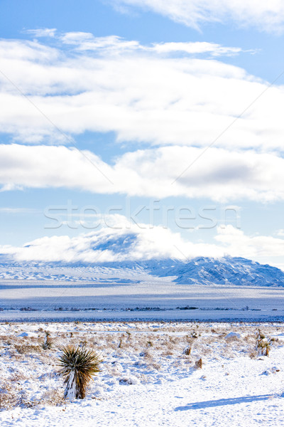Hegyek Las Vegas Nevada USA tájkép hó Stock fotó © phbcz