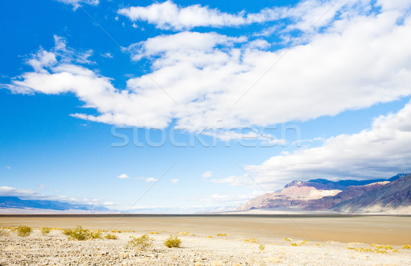 Stockfoto: Dood · vallei · park · Californië · USA · landschap