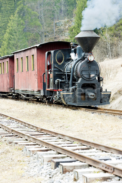 Stockfoto: Stoom · trein · spoorweg · Slowakije · rook · reizen