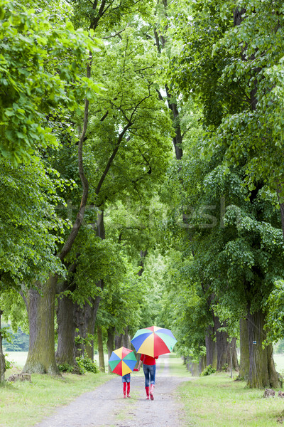 mother and her daughter with umbrellas in spring alley Stock photo © phbcz