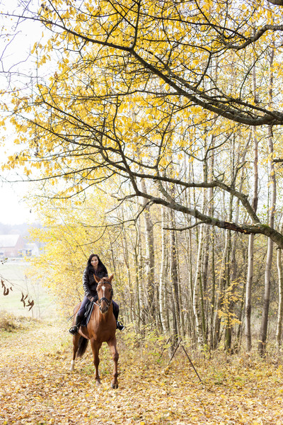 Lovas lóháton őszi természet nők ló Stock fotó © phbcz