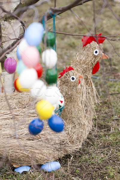 Pascua árbol decoración huevo objeto rama Foto stock © phbcz