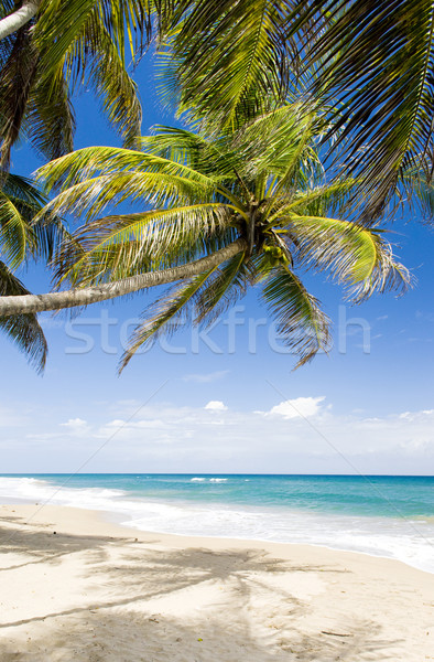 Sauteurs Bay, Grenada Stock photo © phbcz