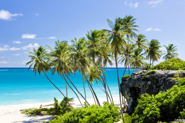 Bottom Bay, Barbados, Caribbean Stock photo © phbcz