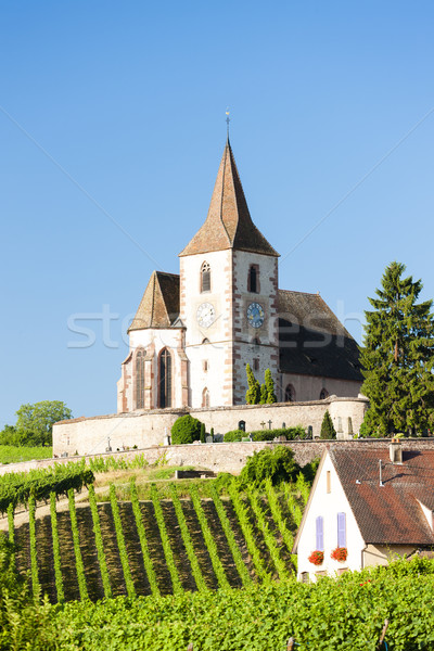 church with vineyard, Hunawihr, Alsace, France Stock photo © phbcz