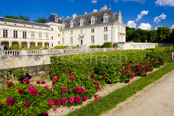 Chateau de Br Stock photo © phbcz