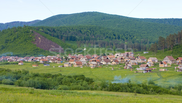 Pueblo Eslovaquia edificios arquitectura casas aire libre Foto stock © phbcz