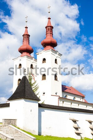 fortified church of All Saints, Divin, Slovakia Stock photo © phbcz