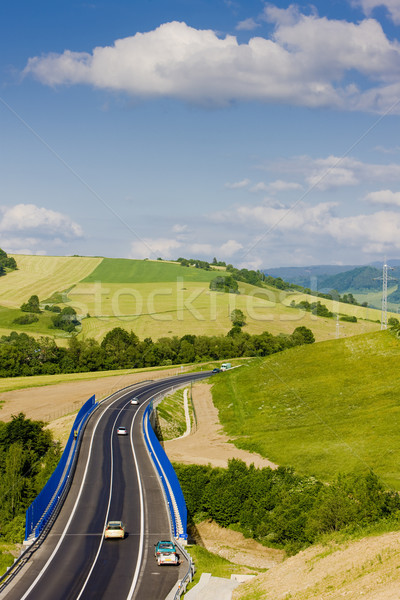 road, Orava, Slovakia Stock photo © phbcz