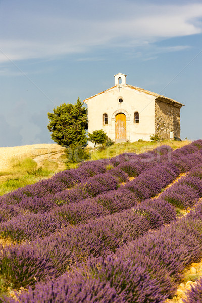 chapel with lavender field, Plateau de Valensole, Provence, Fran Stock photo © phbcz