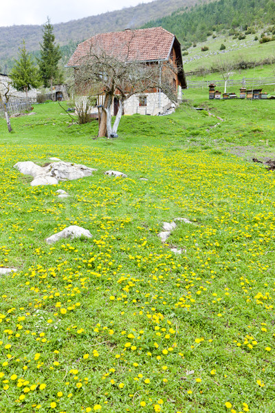 countryside, Bosnia and Hercegovina Stock photo © phbcz