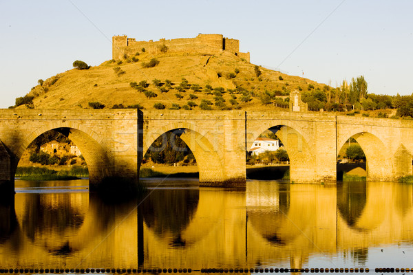 Medellin, Badajoz Province, Extremadura, Spain Stock photo © phbcz
