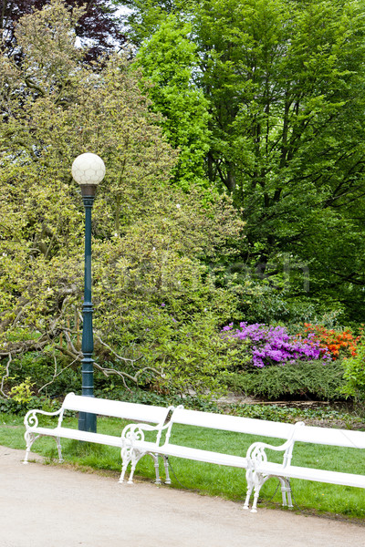 park in Karlovy Vary (Carlsbad), Czech Republic Stock photo © phbcz