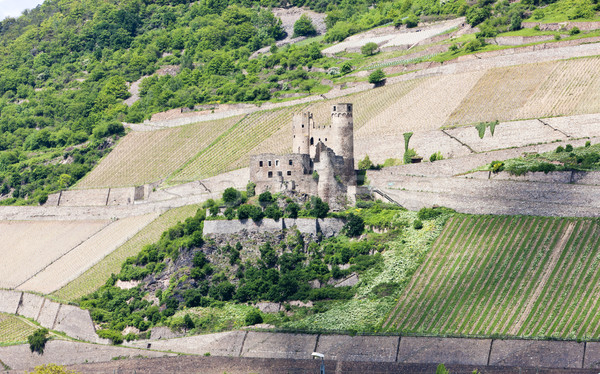ruins of Ehrenfels Castle, Rhineland-Palatinate, Germany Stock photo © phbcz
