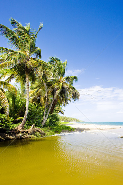 Sauteurs Bay, Grenada Stock photo © phbcz