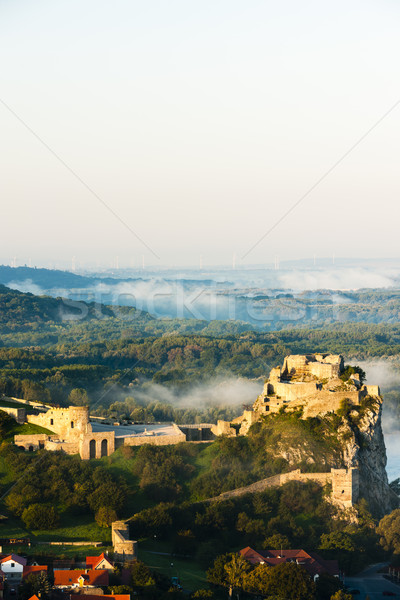 Ruiny zamek Słowacja budynku architektury Europie Zdjęcia stock © phbcz