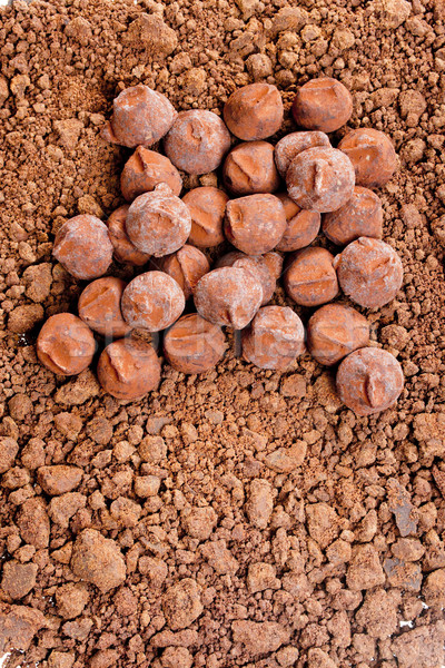 chocolate truffles in cocoa Stock photo © phbcz