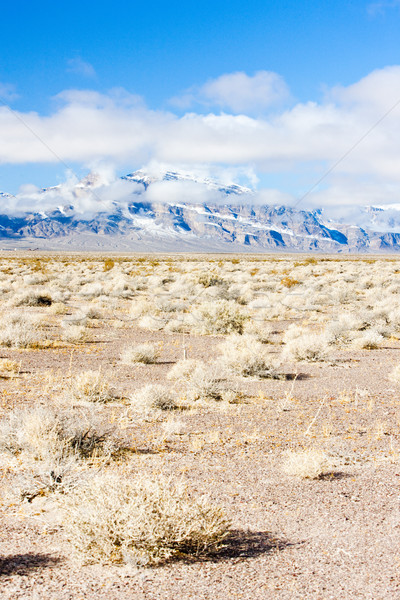 Kış dağlar Nevada ABD manzara Stok fotoğraf © phbcz